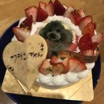 フランのフォトケーキ